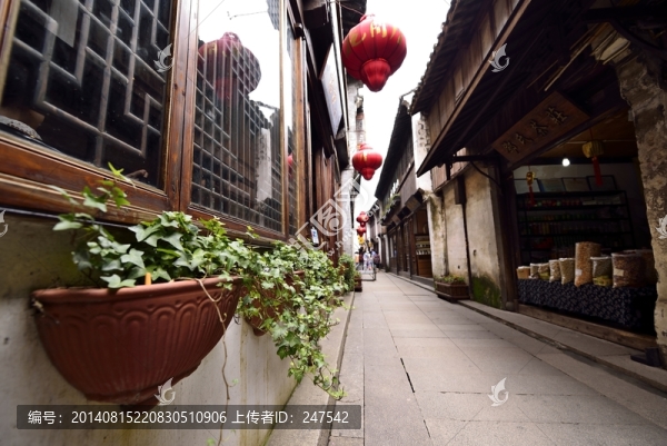 窗臺的綠化