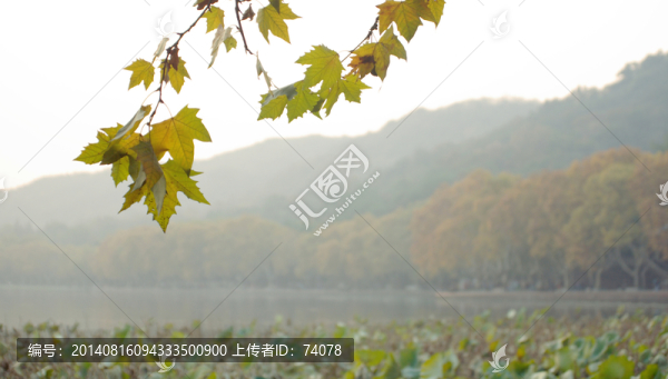 西湖的秋天