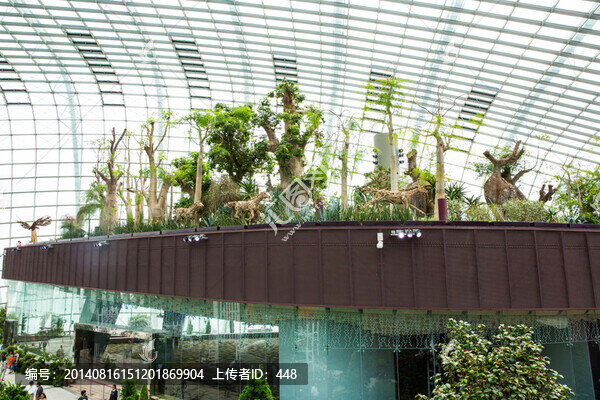 新加坡濱海灣花園,溫室大棚