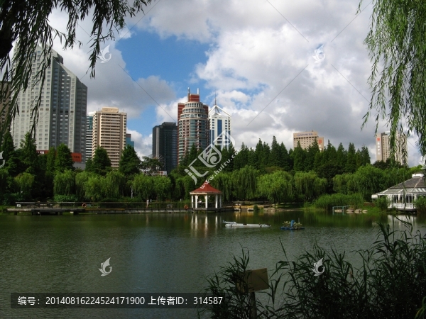新虹橋公園