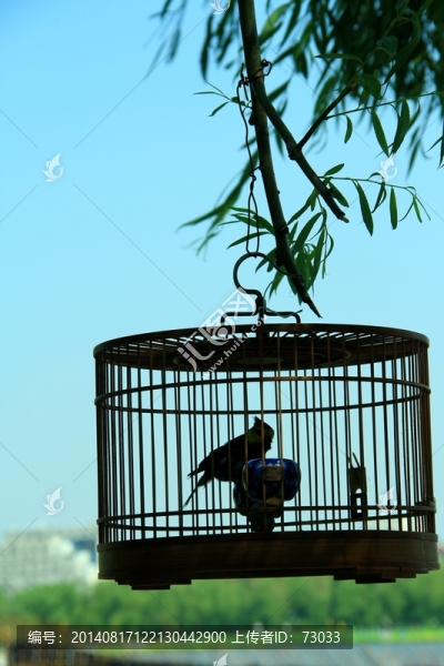 鳥籠,藍天,北京鳥籠
