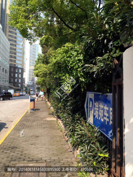 上海,浦東,陸家嘴,現(xiàn)代建筑