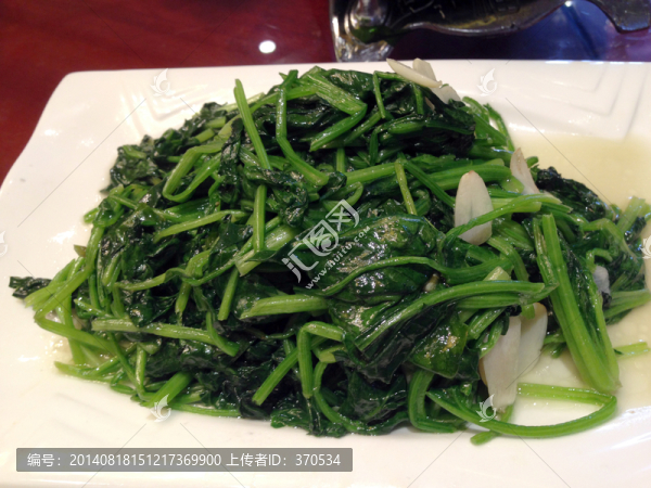 木耳菜,蔬菜,餐飲,美食