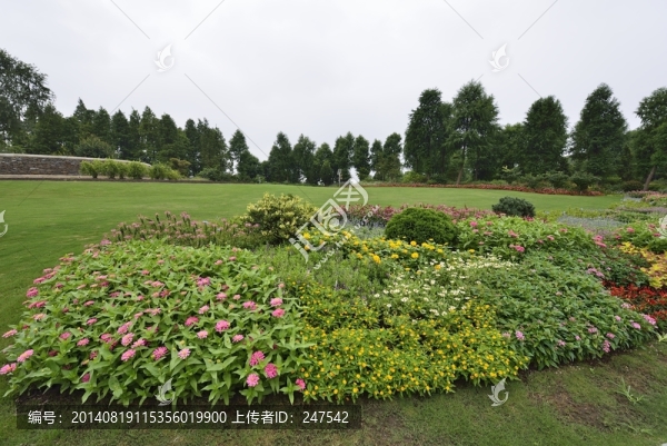上海辰山植物園,礦坑花園,高清