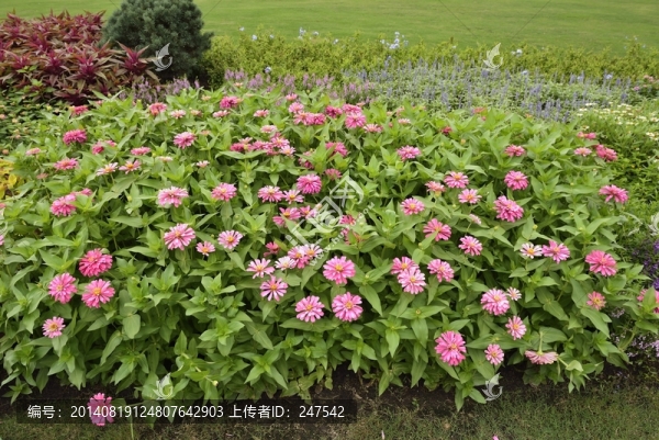 上海辰山植物園,礦坑花園