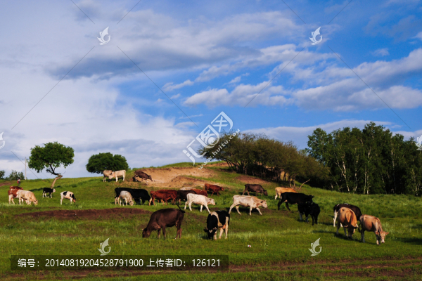 草原風(fēng)光