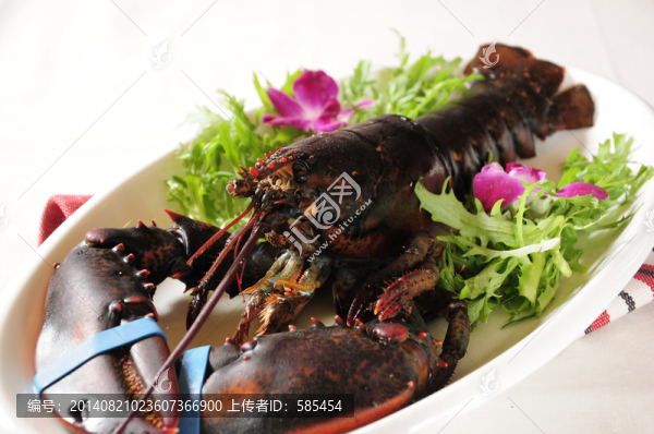 大龍蝦