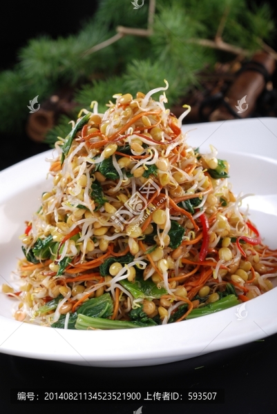 生態(tài)高原芽菜