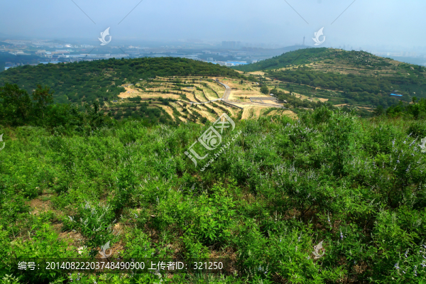 山丘風(fēng)光