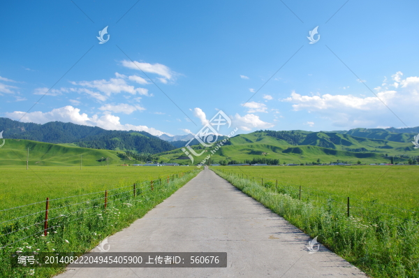 草原,公路