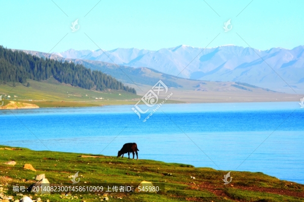 塞里木湖風(fēng)光