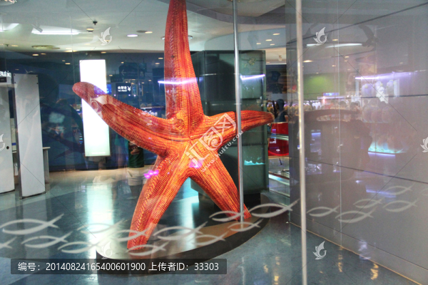 上海水族館海星模型