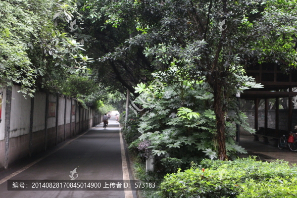 小區(qū)之路