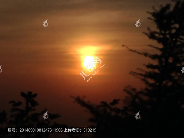 日出美