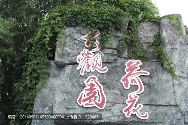 荷花大觀園