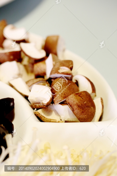 菌類
