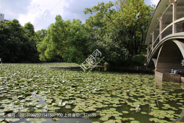 荔枝公園