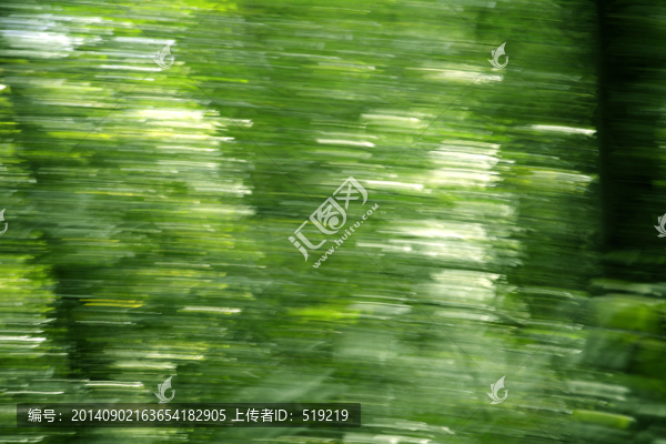 運動中的樹林