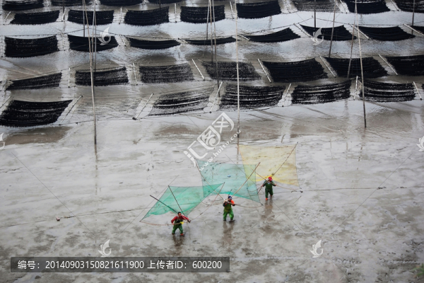 福建霞浦捕魚場(chǎng)景