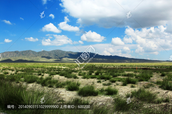 草地藍(lán)天白云風(fēng)光