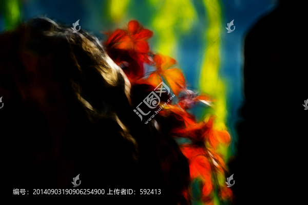 秋葉變奏曲之石頭上的常春藤