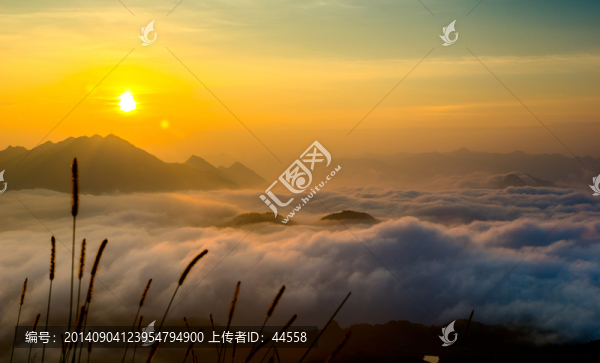 日出,云海