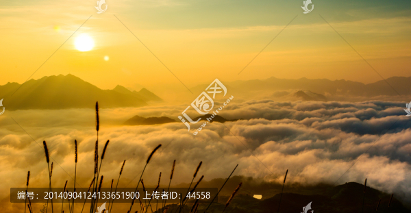 日出,云海