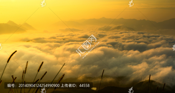 日出,云海