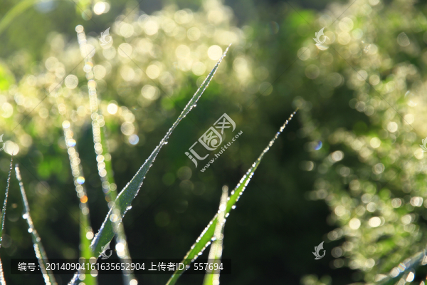 潤物細無聲