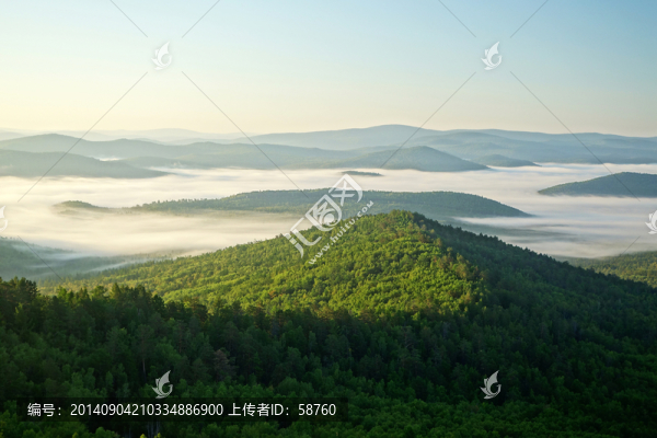 大興安嶺原始森林