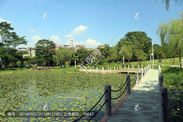 公園景觀設(shè)計