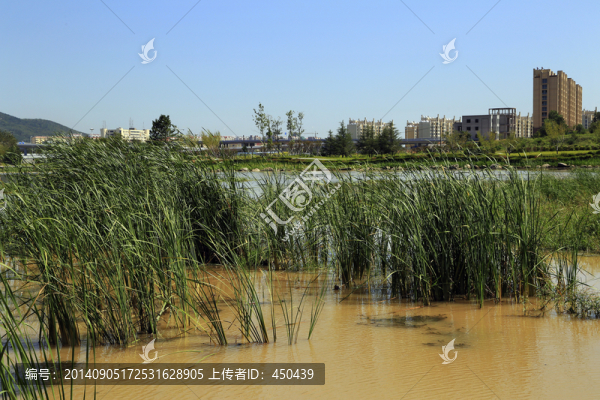 生態(tài)濕地
