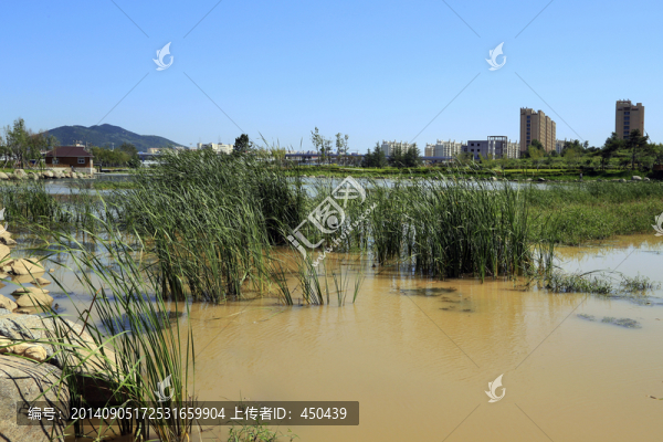 生態(tài)住宅