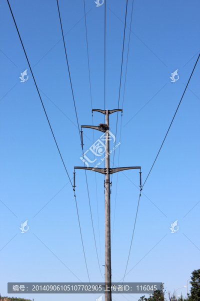 電線桿