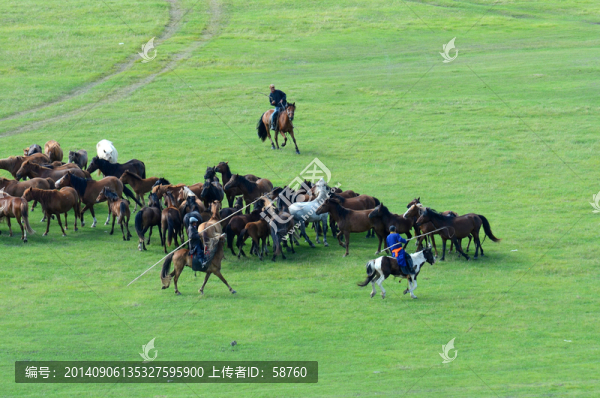 牧場(chǎng)風(fēng)情
