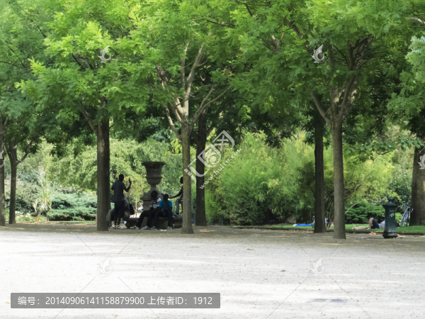 公園,樹林