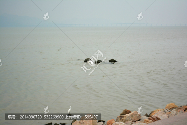 濱海公園
