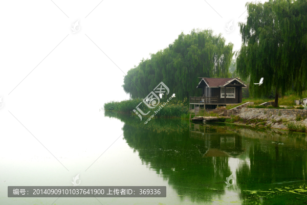 湖邊小景