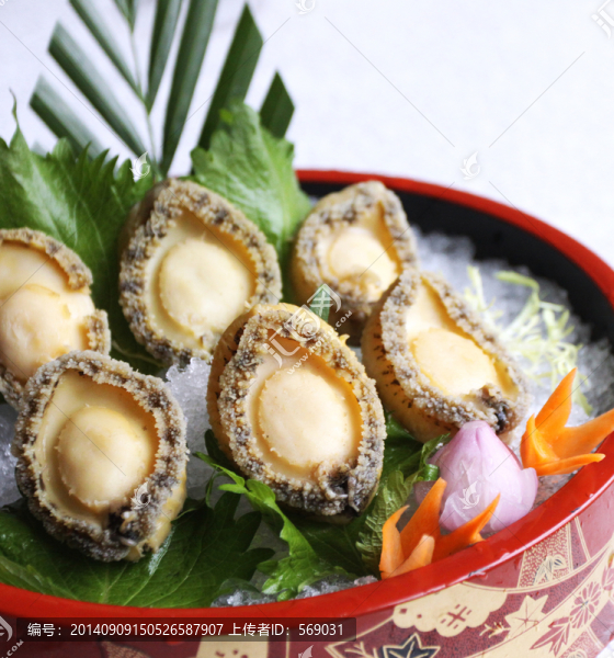 冰鎮(zhèn)鮑魚