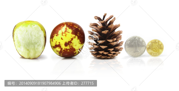 冬棗對(duì)比