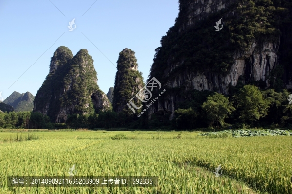 奇峰