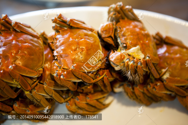 大閘蟹,杭州大閘蟹,河蟹