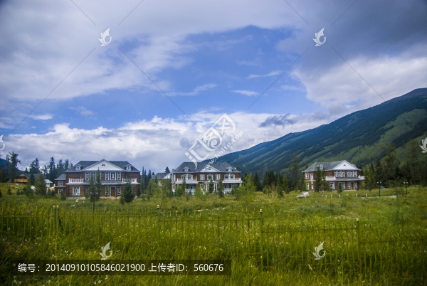 森林,別墅