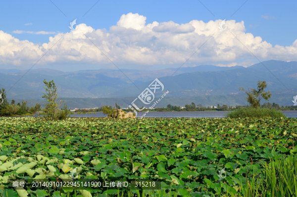 西昌濕地公園