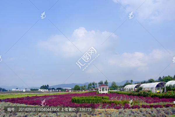 成都紫頤香薰山谷