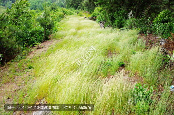 余姚四明山