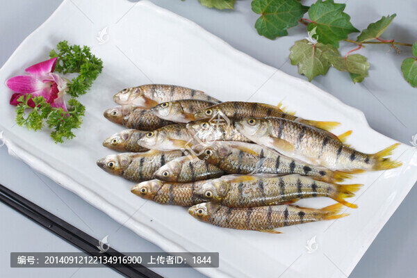 石斑魚