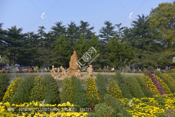 青島中山公園菊展