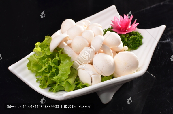 白玉菇
