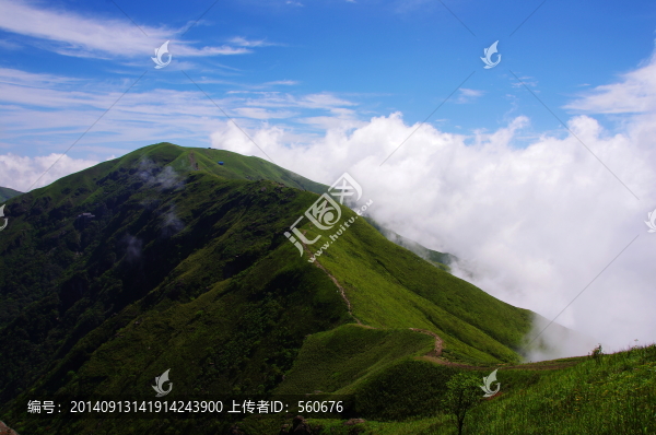 武功山,云海